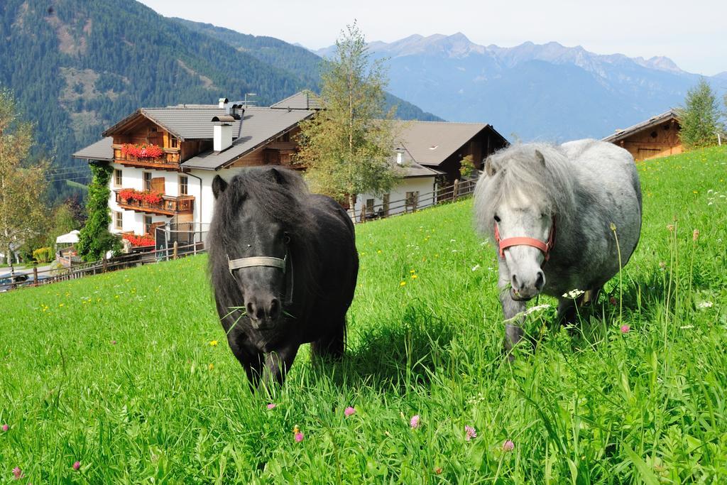 Hotel Kompatscherhof Luson Luaran gambar